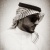 Hamad Alahmadi