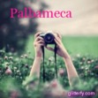 palbameca
