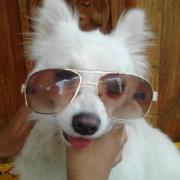 నాగేష్ బండారి