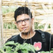 Ahmed Lotfy