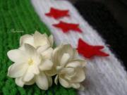 بنان احمد