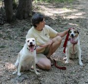 Amy Hinrichs