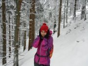 Enisa Kozlić