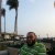 Mohammad Hafez