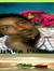 Haile E...
