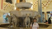 Grishmi Gaur