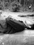 Animesh...