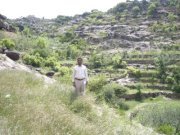 م.راشد الشرعبي