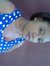 Ida Kgo...