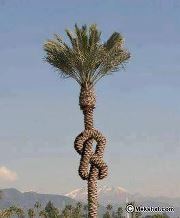 جاسم باعديل