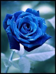 الماسه الزرقاء