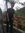 Muhamad...