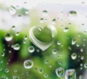 Joyce-mariam Mohammed