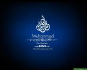 محمود لاشين