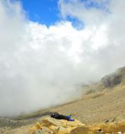 Alfonso Flores campos