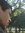 Duanne Ribeiro (duanneribeiro) | 1 comments