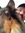 John Tankersley | 11 comments