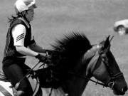 Tracey Thacker hopper