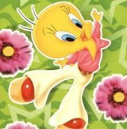 نورا محمود الفيومى