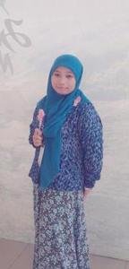Imuet Dolphin