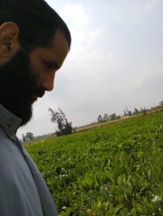 رزق عبد العليم