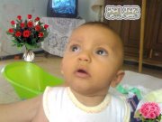 Hamza Ali