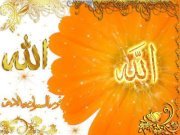 راية القضاة