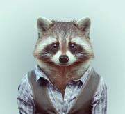 Lorena Gonzales saar