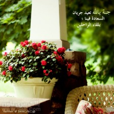 Asma Al.shehri