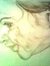 Tharani...