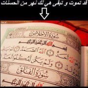 مصطفى سليهم