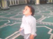 حسين السطوحى