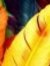 Anshika...