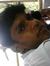 Venkat Sri