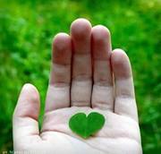 الآنسة ملعقة