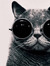 Cat with Glasses