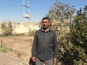 الوائلي علاء