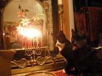 Margaret Greenfields