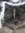 Moggy