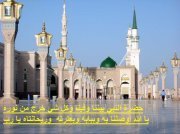 محمود ابراهيم