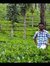 Amith P...