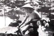 Nguyễn Cừ