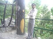 Muhammad Asim