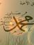 Amr Anwar