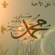 Amr Anwar