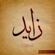 Mohammed Zayed