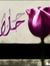 Aynour ...
