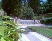 عمر الزياني