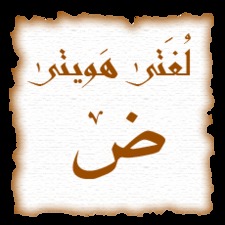 Nader Mamoun