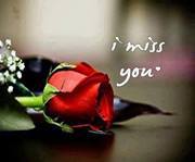 Muhammad Ashraf